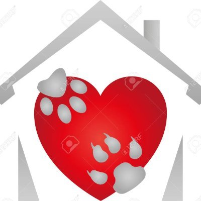 Dulce_Estadiaa's profile picture. @Dulce_Estadia el lugar ideal para dejar a tu mascota sin ninguna preocupacion, contamos con personal especializado para cuidar bien de tu peludo favorito.