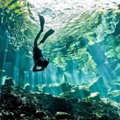 rmame771's profile picture. 