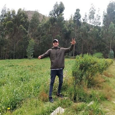 nelsongud's profile picture. Estudiante de Ingeniería Civil—ULA Mérida