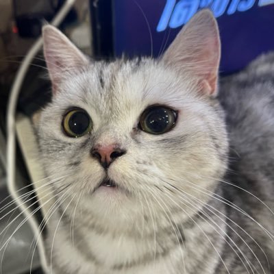 Miild12's profile picture. 