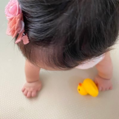 麻酔科専門医/ 育休復帰済/趣味と麻酔と育児の情報収集アカウント/セーラームーン/銀英伝/コナン/ハリポタ/本好き/薬屋/無言フォロー失礼します