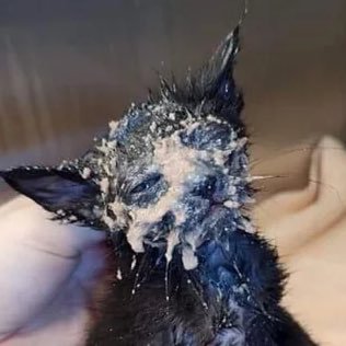 itsgripy's profile picture. 