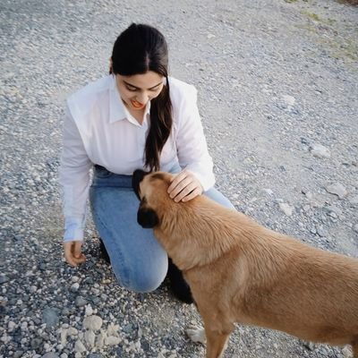 BitmezEftelya's profile picture. 