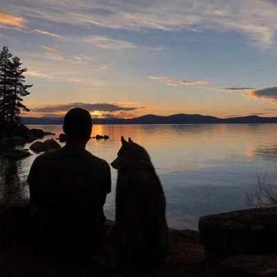 xiaohaitun14's profile picture. 