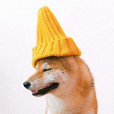 salaverohanceo's profile picture. Learning and growing 📈