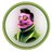 EVILELON avatar