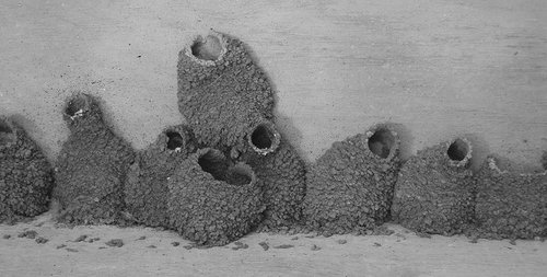 missy2585's profile picture. 