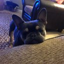 Harvey Harrison - @harv8002 - Twitter