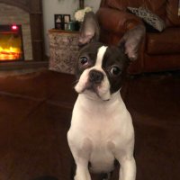 Ridin’ The Storm Out (@ch24170103) 's Twitter Profile
