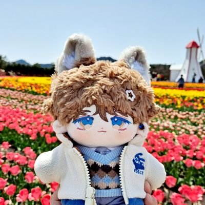 솜버터さんのプロフィール画像