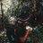 azizul_megu's profile image