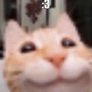 majimokiki's profile picture. 