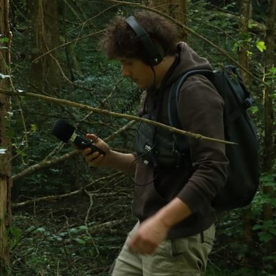 Game & Sound Designer - Music Composer
@InnerVerse_stud