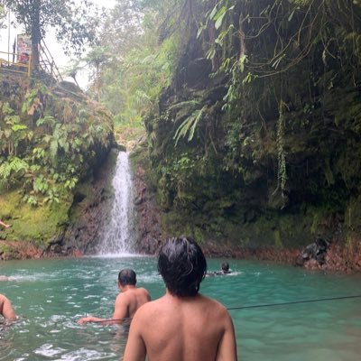 Bonggaz97's profile picture. 