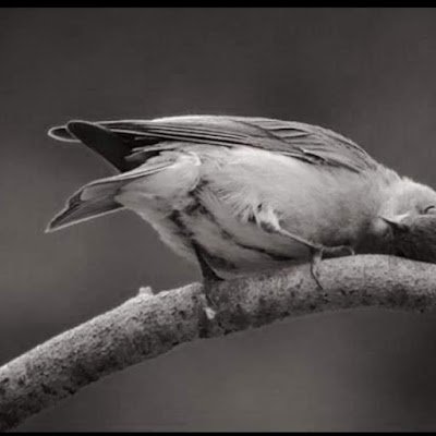 thinking_a60900's profile picture. 