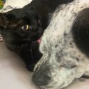 Teresa Isner - @teresa_isn26187 - Twitter