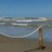 Anthony Perkins (@anthonyper11064) 's Twitter Profile