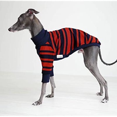 No99806267's profile picture. 広い世界を見る為に生きてる