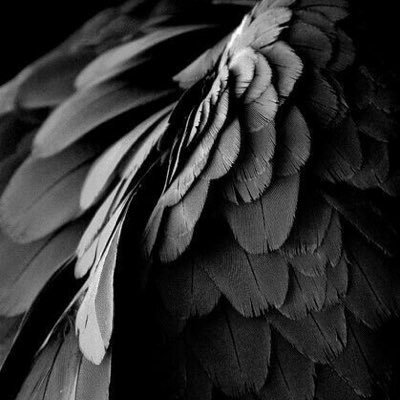 rita1107v's profile picture. 