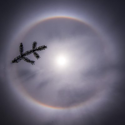 CirobertCindy's profile picture. desperately in search of entertainment