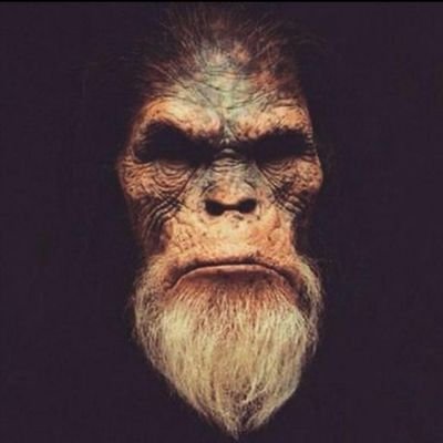 Painsugarさんのプロフィール画像