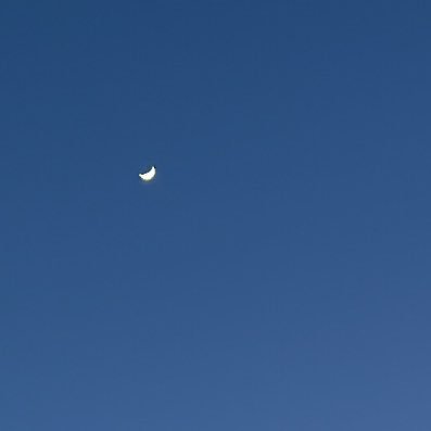 4aOQ4D1OSicZs8b's profile picture. オンラインp活💞