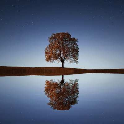 SpaceXtraordina's profile picture. Providing the latest in news and updates. Stay informed and up-to-date on the latest trends and developments in the world.