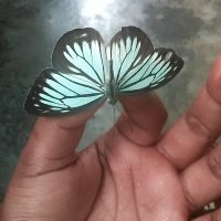 Shamima bibi biswas "❤️ STONE🐦⬛🪨 (@cchaplin635) 's Twitter Profile