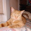 Donna Pogue - @donnapogue88 - Twitter