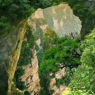 HalimaTitr2975's profile picture. 