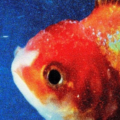 SWISH_808's profile picture. 🧬