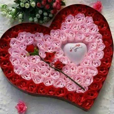 ahmedyous017's profile picture. 