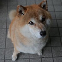 S͎R͎C͎_Photograph (@src57003429) 's Twitter Profile