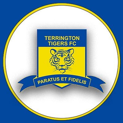 Established 2013. Playing in the North West Norfolk League Division 1. Affiliated to Terrington Tigers Youth FC. #UpTheTigers 🐅