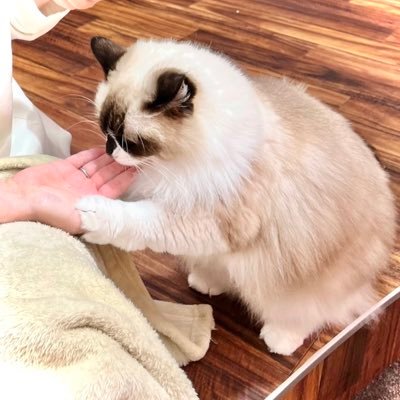 あやかさんのプロフィール画像