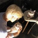 Omar Sawyer - @OmarSawyer84068 - Twitter