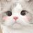 Chibimoonsweet's profile image
