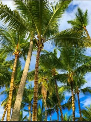 thunda_tro39316's profile picture. 