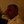 Steven Ryding (@SteveRyding) profile picture