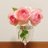 Coo55483078Coo's profile image