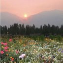 Caitlin Mooney - @Caitlin99513170 - Twitter