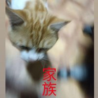 atlas (yeni) (@gdafcadasas) Twitter profile photo