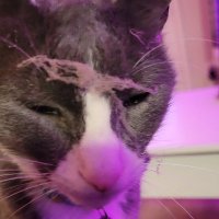 ENT Queen 👑 (@hayisforbb) Twitter profile photo