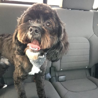 JFuller 🇺🇸🇺🇸🇺🇸👮‍♀️🧍‍♂️🌈✝️