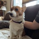 Blake Riggs - @rigglegiggles - Twitter