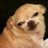 frvnstudies's profile image