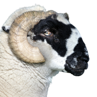 davelumb (@dave_lumb) 's Twitter Profile Photo davelumb (@dave_lumb) 's Twitter Profile Photo