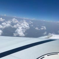 Luna (@laura__hsieh) 's Twitter Profile