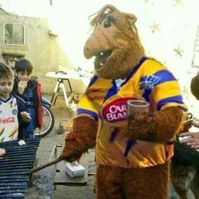 Alf_Tigre's profile picture. Amante de los animales y de los poderosisisimos Tigres