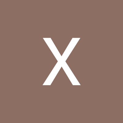 XBirhim33884's profile picture. 